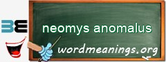 WordMeaning blackboard for neomys anomalus